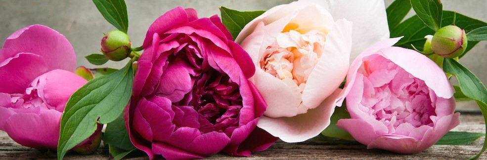 88-Banner-2.1.jpg